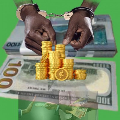 Empowering Governments and Institutions to Fight Financial Crime and Protect Public Funds